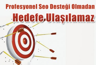 Profesyonel Seo Desteği Olmadan Hedefe Ulaşılamaz